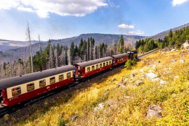 Schierke - Saksonya-Anhalt - Almanya çevresindeki Harz Milli Parkı 'nda yaz sonu yürüyüşü