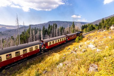 Schierke - Saksonya-Anhalt - Almanya çevresindeki Harz Milli Parkı 'nda yaz sonu yürüyüşü