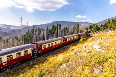 Schierke - Saksonya-Anhalt - Almanya çevresindeki Harz Milli Parkı 'nda yaz sonu yürüyüşü
