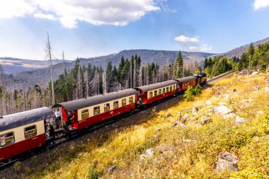 Schierke - Saksonya-Anhalt - Almanya çevresindeki Harz Milli Parkı 'nda yaz sonu yürüyüşü