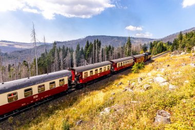 Schierke - Saksonya-Anhalt - Almanya çevresindeki Harz Milli Parkı 'nda yaz sonu yürüyüşü