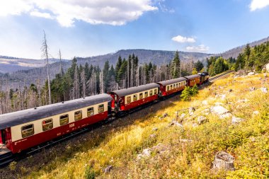 Schierke - Saksonya-Anhalt - Almanya çevresindeki Harz Milli Parkı 'nda yaz sonu yürüyüşü
