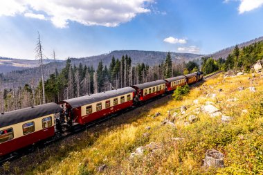 Schierke - Saksonya-Anhalt - Almanya çevresindeki Harz Milli Parkı 'nda yaz sonu yürüyüşü
