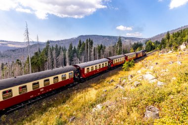 Schierke - Saksonya-Anhalt - Almanya çevresindeki Harz Milli Parkı 'nda yaz sonu yürüyüşü