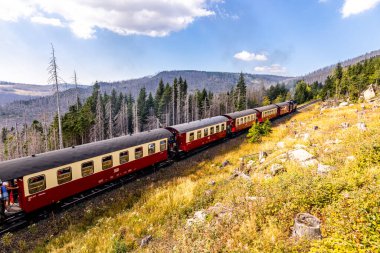 Schierke - Saksonya-Anhalt - Almanya çevresindeki Harz Milli Parkı 'nda yaz sonu yürüyüşü