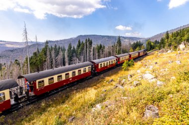 Schierke - Saksonya-Anhalt - Almanya çevresindeki Harz Milli Parkı 'nda yaz sonu yürüyüşü