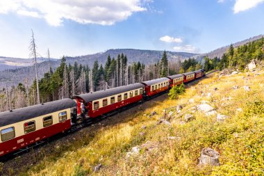 Schierke - Saksonya-Anhalt - Almanya çevresindeki Harz Milli Parkı 'nda yaz sonu yürüyüşü