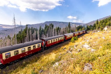 Schierke - Saksonya-Anhalt - Almanya çevresindeki Harz Milli Parkı 'nda yaz sonu yürüyüşü