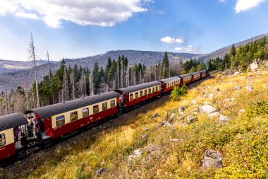 Schierke - Saksonya-Anhalt - Almanya çevresindeki Harz Milli Parkı 'nda yaz sonu yürüyüşü