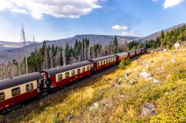 Schierke - Saksonya-Anhalt - Almanya çevresindeki Harz Milli Parkı 'nda yaz sonu yürüyüşü