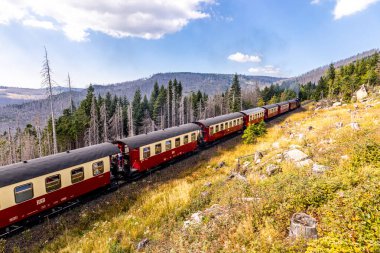 Schierke - Saksonya-Anhalt - Almanya çevresindeki Harz Milli Parkı 'nda yaz sonu yürüyüşü