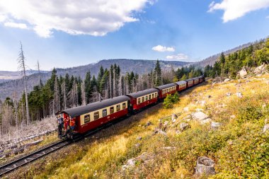 Schierke - Saksonya-Anhalt - Almanya çevresindeki Harz Milli Parkı 'nda yaz sonu yürüyüşü