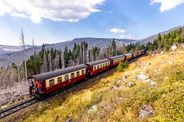 Schierke - Saksonya-Anhalt - Almanya çevresindeki Harz Milli Parkı 'nda yaz sonu yürüyüşü