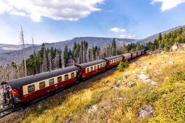Schierke - Saksonya-Anhalt - Almanya çevresindeki Harz Milli Parkı 'nda yaz sonu yürüyüşü