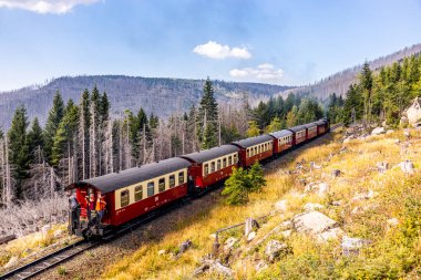 Schierke - Saksonya-Anhalt - Almanya çevresindeki Harz Milli Parkı 'nda yaz sonu yürüyüşü