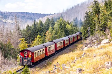 Schierke - Saksonya-Anhalt - Almanya çevresindeki Harz Milli Parkı 'nda yaz sonu yürüyüşü