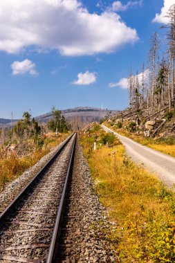 Schierke - Saksonya-Anhalt - Almanya çevresindeki Harz Milli Parkı 'nda yaz sonu yürüyüşü