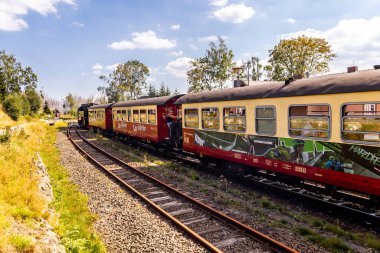 Schierke - Saksonya-Anhalt - Almanya çevresindeki Harz Milli Parkı 'nda yaz sonu yürüyüşü