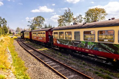 Schierke - Saksonya-Anhalt - Almanya çevresindeki Harz Milli Parkı 'nda yaz sonu yürüyüşü