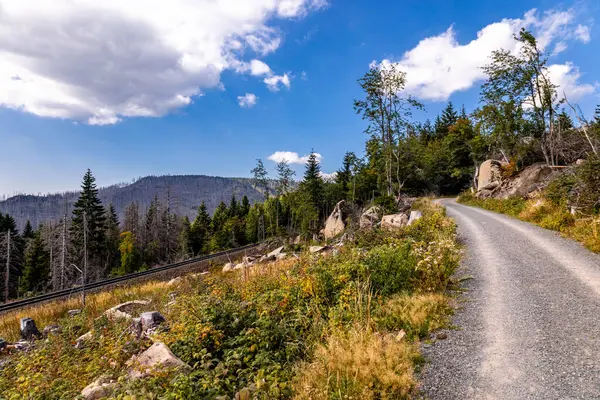 stock image Late summer hike through the Harz National Park around Schierke - Saxony-Anhalt - Germany