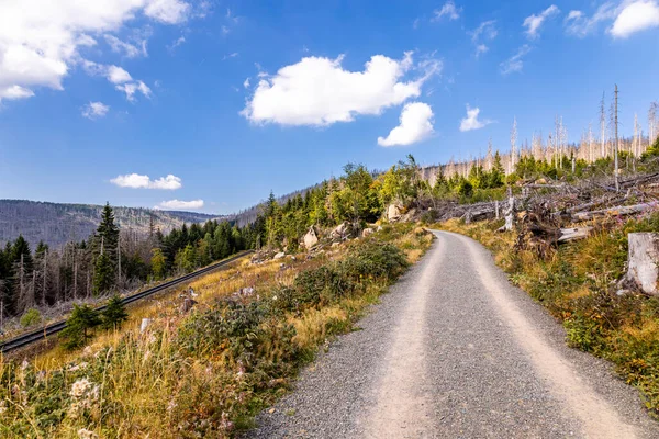 Schierke - Saksonya-Anhalt - Almanya çevresindeki Harz Milli Parkı 'nda yaz sonu yürüyüşü