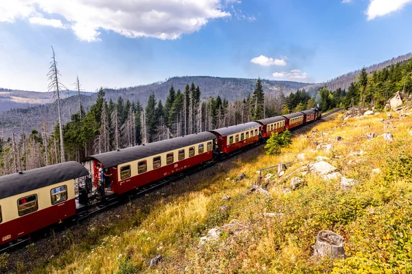 Schierke - Saksonya-Anhalt - Almanya çevresindeki Harz Milli Parkı 'nda yaz sonu yürüyüşü