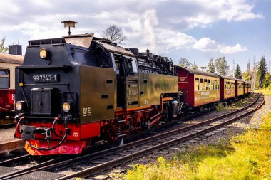 Schierke - Saksonya-Anhalt - Almanya çevresindeki Harz Milli Parkı 'nda yaz sonu yürüyüşü