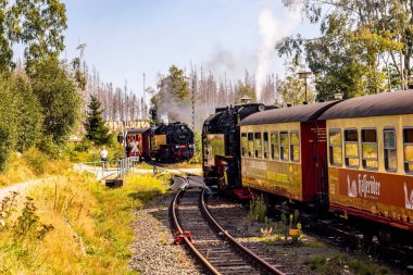 Schierke - Saksonya-Anhalt - Almanya çevresindeki Harz Milli Parkı 'nda yaz sonu yürüyüşü