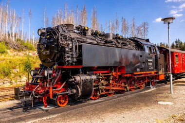 Schierke - Saksonya-Anhalt - Almanya çevresindeki Harz Milli Parkı 'nda yaz sonu yürüyüşü