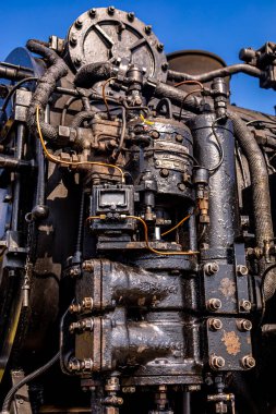 Schierke - Saksonya-Anhalt - Almanya çevresindeki Harz Milli Parkı 'nda yaz sonu yürüyüşü