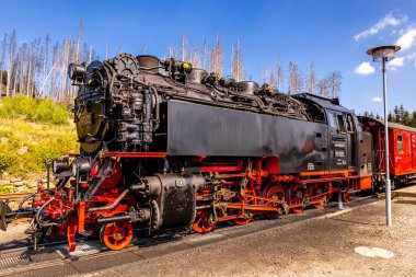 Schierke - Saksonya-Anhalt - Almanya çevresindeki Harz Milli Parkı 'nda yaz sonu yürüyüşü