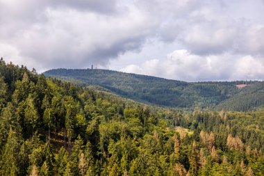 Bad Tabarz - Thüringen - Almanya yakınlarındaki Thuringian Ormanı 'nda yaz yürüyüşü