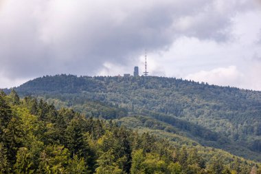 Bad Tabarz - Thüringen - Almanya yakınlarındaki Thuringian Ormanı 'nda yaz yürüyüşü