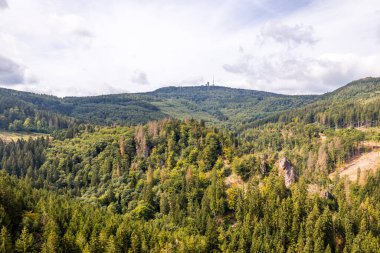 Bad Tabarz - Thüringen - Almanya yakınlarındaki Thuringian Ormanı 'nda yaz yürüyüşü