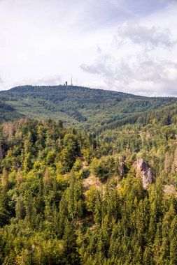 Bad Tabarz - Thüringen - Almanya yakınlarındaki Thuringian Ormanı 'nda yaz yürüyüşü