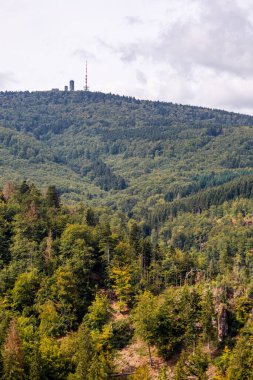 Bad Tabarz - Thüringen - Almanya yakınlarındaki Thuringian Ormanı 'nda yaz yürüyüşü