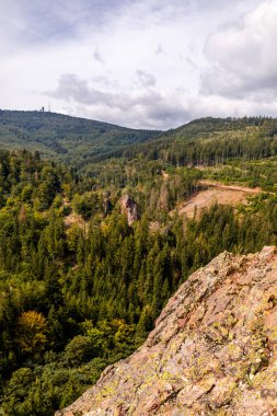Bad Tabarz - Thüringen - Almanya yakınlarındaki Thuringian Ormanı 'nda yaz yürüyüşü