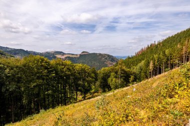 Bad Tabarz - Thüringen - Almanya yakınlarındaki Thuringian Ormanı 'nda yaz yürüyüşü