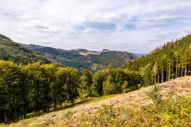 Bad Tabarz - Thüringen - Almanya yakınlarındaki Thuringian Ormanı 'nda yaz yürüyüşü