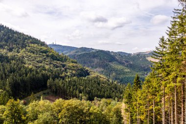 Bad Tabarz - Thüringen - Almanya yakınlarındaki Thuringian Ormanı 'nda yaz yürüyüşü