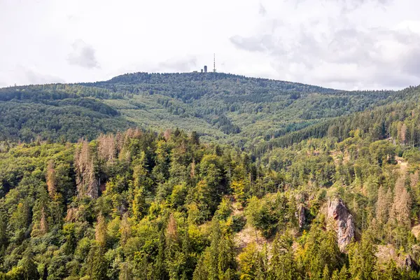 Randonnée Estivale Sur Les Hauteurs Forêt Thuringe Près Bad Tabarz — Photo