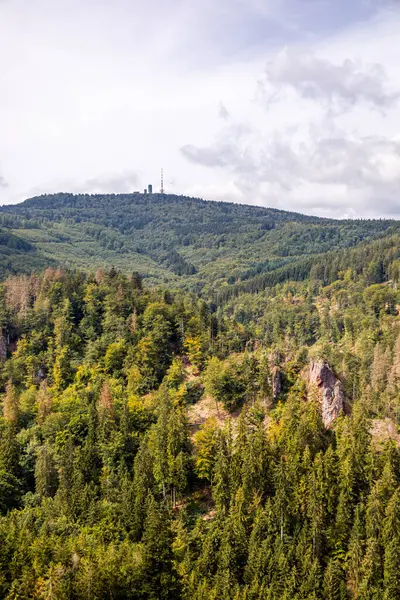 在德国图林根的Bad Tabarz附近的图林根森林的高小径上进行夏季远足 — 图库照片