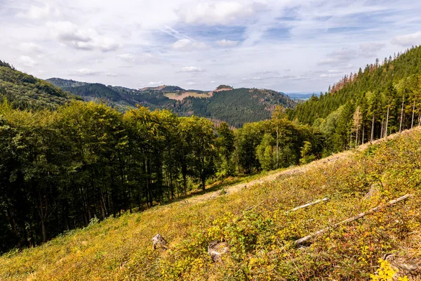 Bad Tabarz - Thüringen - Almanya yakınlarındaki Thuringian Ormanı 'nda yaz yürüyüşü