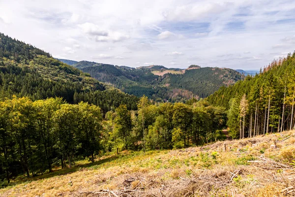 Sommerwanderung Auf Dem Höhenweg Des Thüringer Waldes Bei Bad Tabarz — Stockfoto