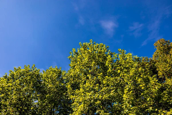 Bad Staffelstein - Bavyera - Almanya yakınlarındaki Yukarı Franconian kırsalında yaz yürüyüşü
