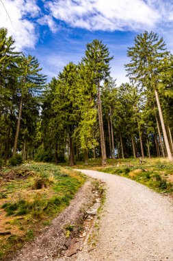 Feldberg 'deki Hochtaunus' ta güzel bir yürüyüş, güzel bir yaz günü, Hesse - Almanya