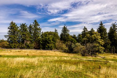 Feldberg 'deki Hochtaunus' ta güzel bir yürüyüş, güzel bir yaz günü, Hesse - Almanya