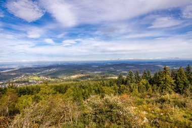 Feldberg 'deki Hochtaunus' ta güzel bir yürüyüş, güzel bir yaz günü, Hesse - Almanya