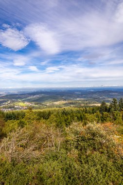 Feldberg 'deki Hochtaunus' ta güzel bir yürüyüş, güzel bir yaz günü, Hesse - Almanya