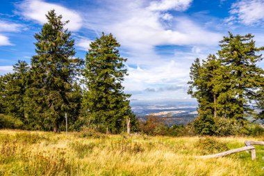 Feldberg 'deki Hochtaunus' ta güzel bir yürüyüş, güzel bir yaz günü, Hesse - Almanya